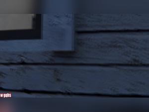 The Taboo Unveiled: Explore the Sensual World of Doggy Friends