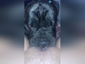 The Thrill of Bestiality: Canine & Feminine Delights