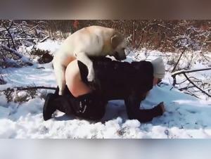 The wild beast and its docile prey