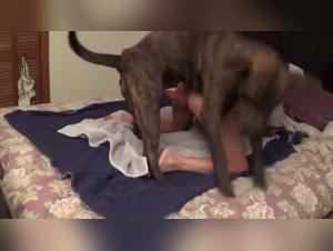 The Wild Call: Women under Animal Power