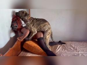 Tick   Zoo Dressing: The animal power of Lady Zoe