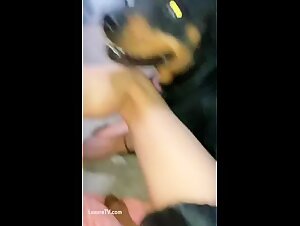 Tickzoo TV: The Zoophile Taboo Speaks Out - Beastie Gals in Action!