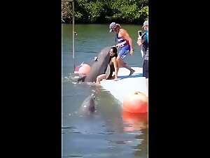 Tokie and his bestial adventure