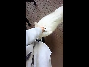 [Tokkie] Puppy wants Pussy