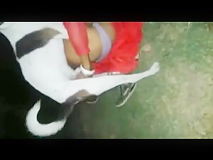 Trans Prostitute and Animal Sex