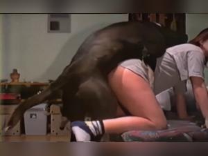 Tube animal: prohibited delights and wild orgies