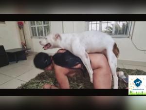 Tush Animal: Extreme Canine Debauchery