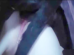 Two Girls and a Dog: An Extreme Encounter