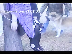 Two women and two dogs in the forest