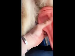 Ultra pornographic: slut fucks with her dog