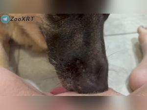 unbridled bestiality: the fusion of a woman and her dog