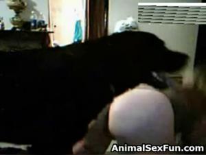 Uncontrollable animal desire: A sulfurous encounter