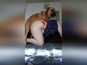 uncontrollable bestiality: animal pleasure