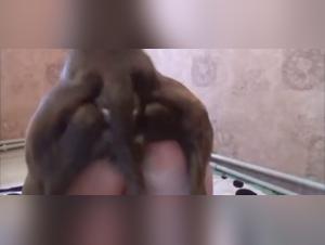 uncontrollable bestiality: his body, their enjoyment