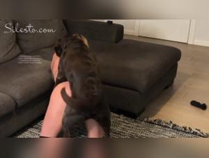 Uncontrollable desire: Veronica Sileileto explores the animal drive