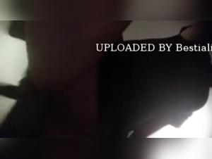 Uncontrolled animality: wild kisses and submission