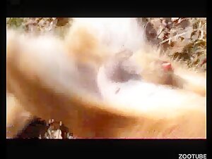 Unfaithful wife in a bestial relationship