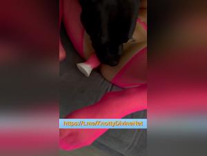 Unhappy lunive tree of canine sex