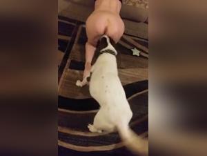 Unleashed bestial desire: indecent art zoo