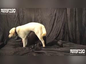 Unleashed Canine Desire: Yasmin Makes Herself Submissive