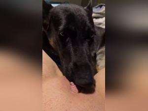 Unleashed raw passion: dog, woman and insatiable desire