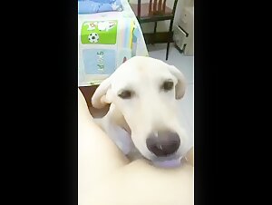 Unpublished zoophilic videos - Access more than 100 new features