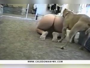 Untamed Zoophilia: Forbidden Delights with Dogs