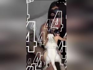 Unveil Your Darkest Desires: Exclusive Bestial PMVs