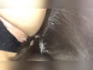 Veronica: animal orgies and bestial domination