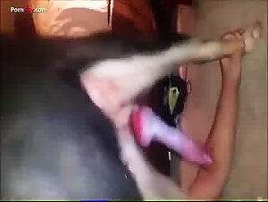 Veronica Silesto Art of Zoofilia: Dog Explicit Compilation on Luxuretv Com