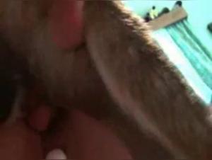 Vibe Animal: Unveiled Blonde, Canine Passion