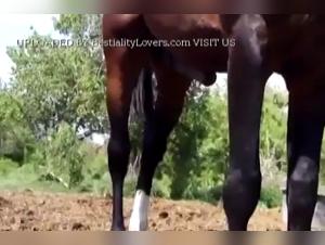 Vibrating stimulation and hardcore erotica