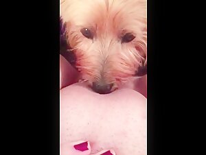 Vicious woman and her canine neighbor (parts 1 & 2)