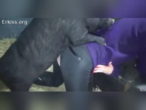 Vietnamese wild orgy: pig vs mistress