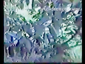 Vintage Classic 5 - A Beastly Experience