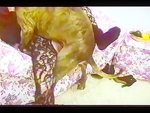 Vintage ZooBook 2 - Intimate with a Dog