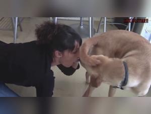 violent zoofilic fantasies