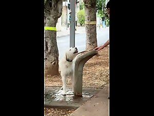 Watching this charming boy