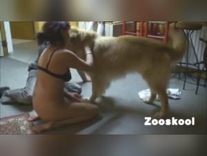 webcam Taboo: Milly and her Dog in a Sensual Orgy