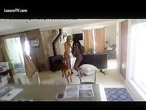 Welcome to a special morning