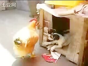 Welcome to the farm!