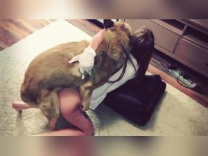 Which Game Bitch Should I Choose, Secrets of the Art of Animated Bestiality