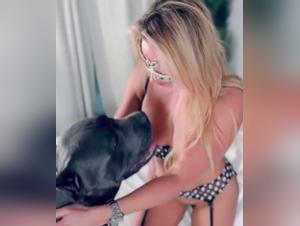 whipped by my dog, bestial desires