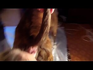 Whipped with my dog   beastiegals