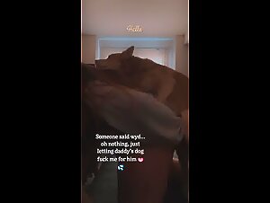 Whore Woman and Her Dog: A Beast Taboo Affair