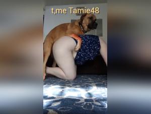 Wife Dog exploited, animal pleasure Germany