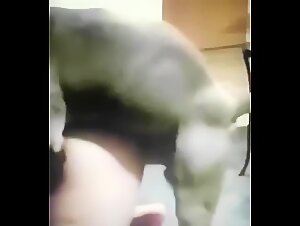 Wife fucked by an American Staffordshire