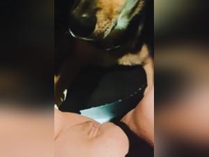 wild and intrepid feline orgies