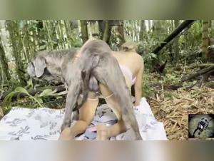 Wild and irresistible bestiality