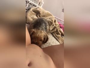 Wild animal orgasms: insane canine domination
